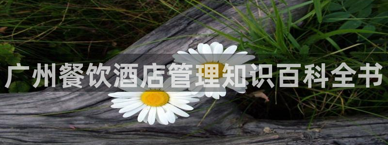 天生赢家K8