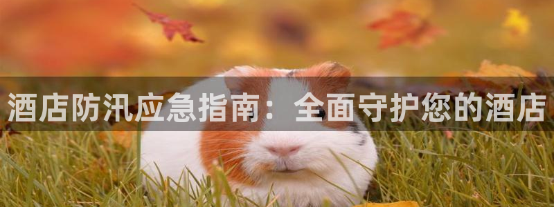 凯发移动版