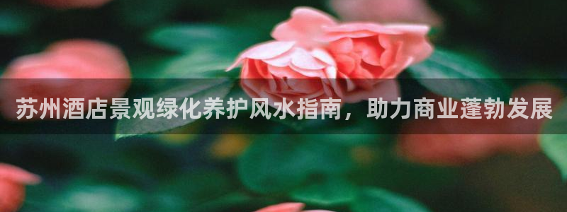 凯发K8旗舰厅